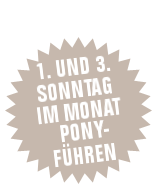 Ponybande - Sanspareil